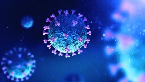 Predicting Pathogen Evolution: From Influenza to SARS-CoV-2